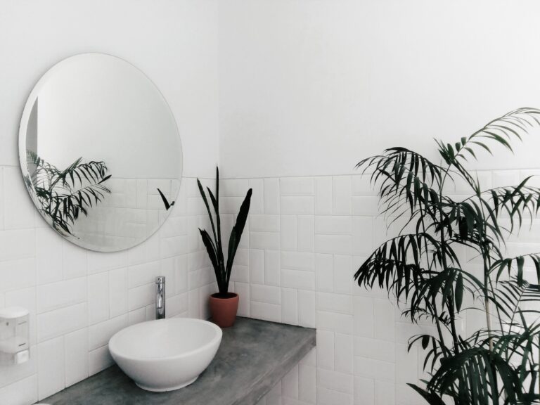 Décoration salle de bain avec plantes