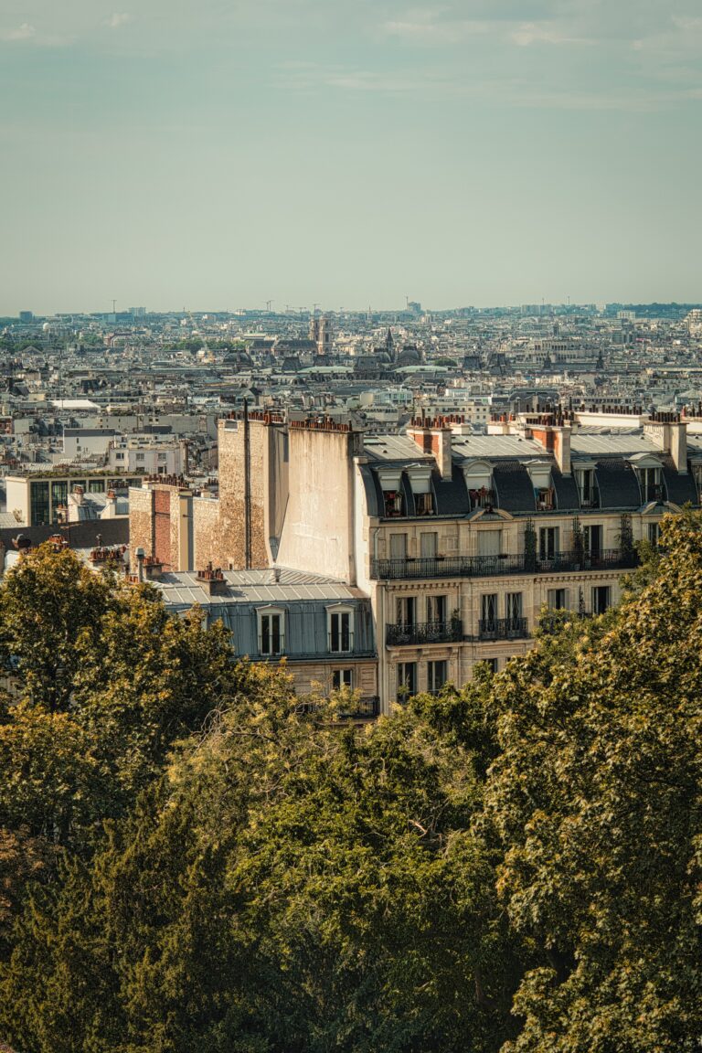 toits d'immeubles parisiens