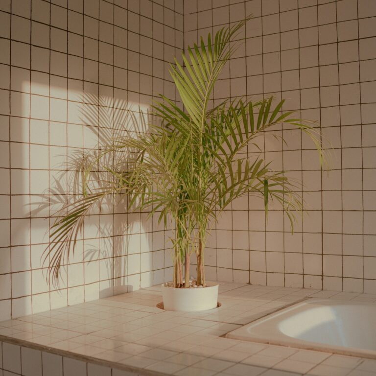 Une plante verte installée à côté d'une baignoire.