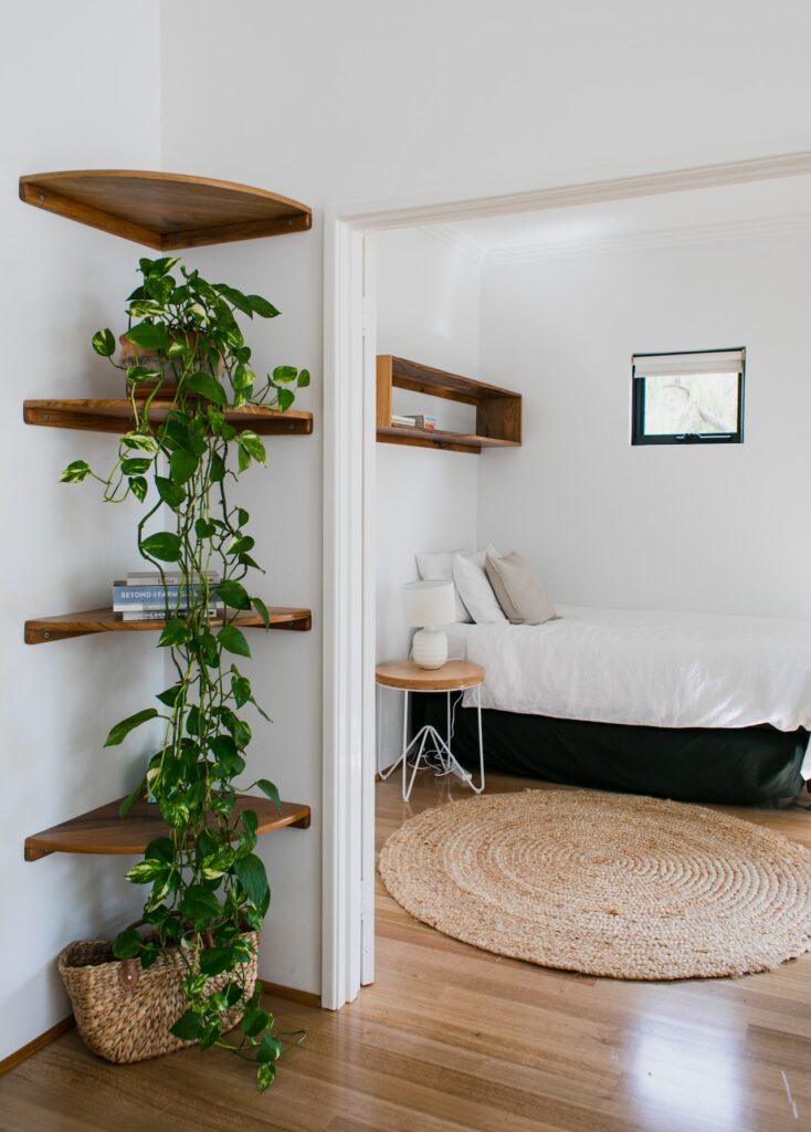 intérieur aux murs blancs avec vue sur une étagère en bois habillées d'une plante tombante