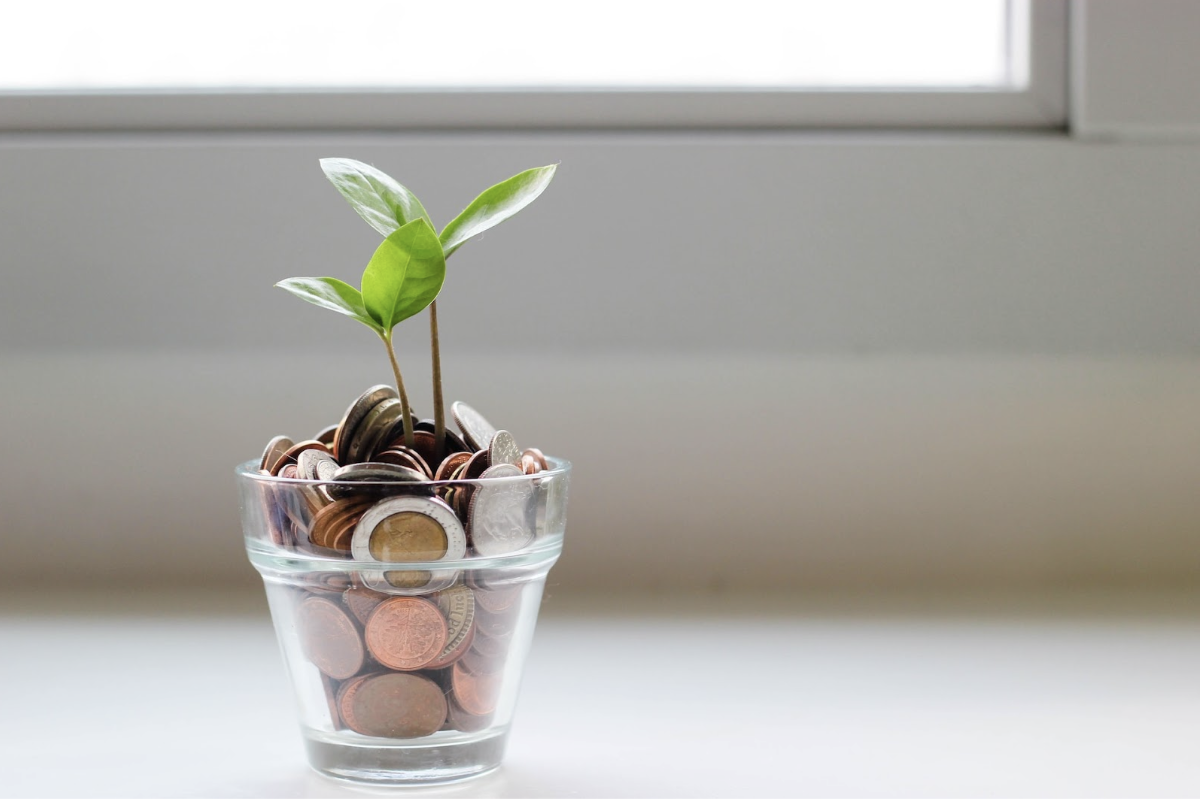 Petite plante verte qui pousse dans un verre rempli de pièces de monnaie.