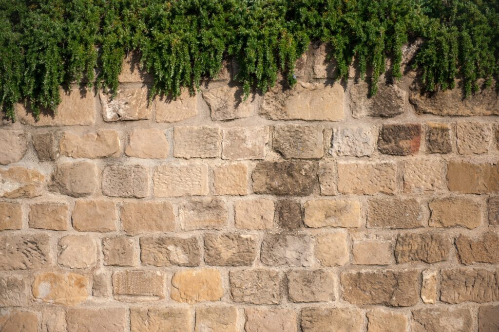 Mur de pierre beige avec de la verdure en hauteur