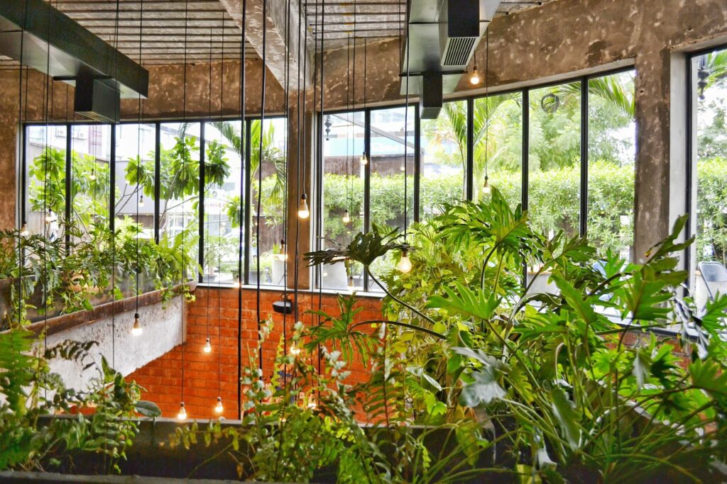 Intérieur maison de luxe : espace végétalisé
