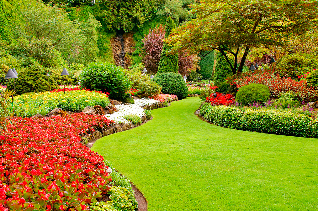 c'est un jardin paysagiste avec des arbustes colorés sur la droite, une jolie allée dessiner par le gazon et de grands arbres