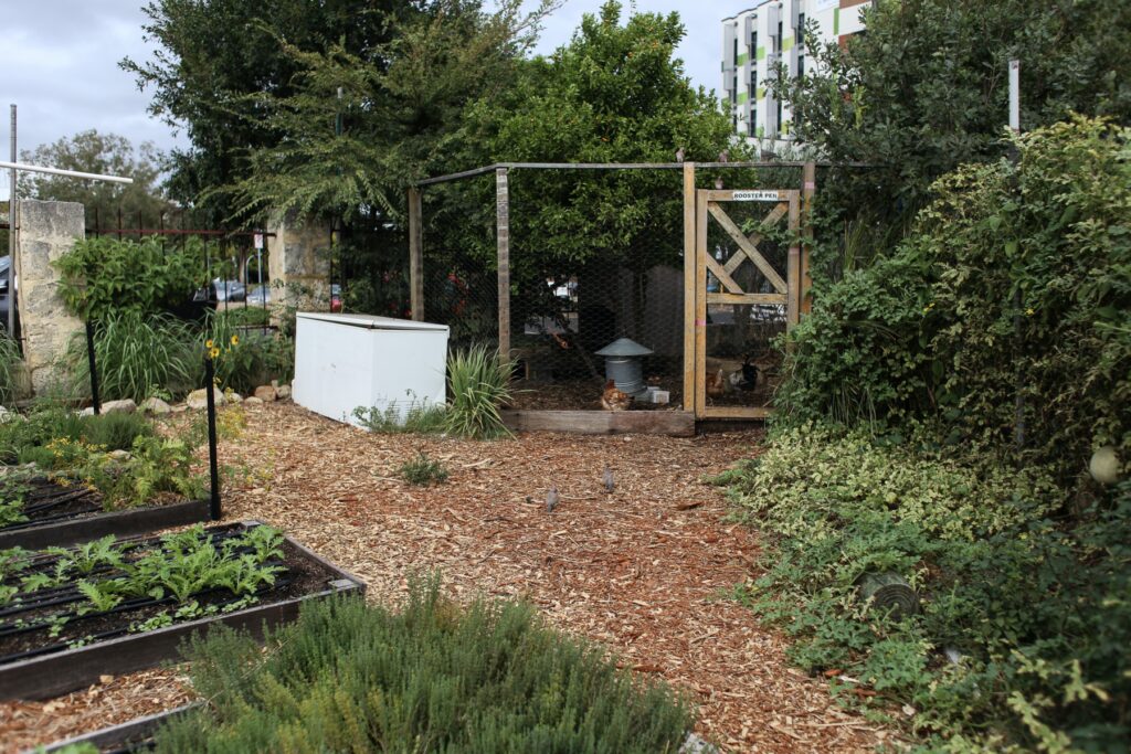 Potager au carré installé dans un jardin verdoyant