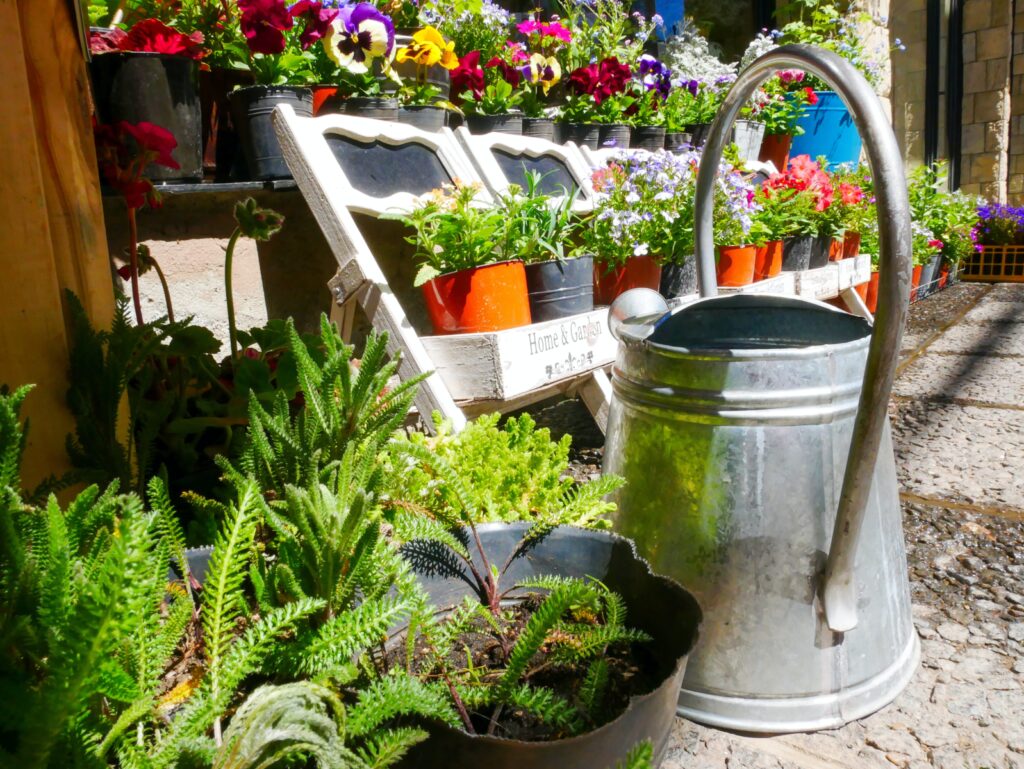 Arrosoir de recyclage déco jardin récup ambiance romantique garantie