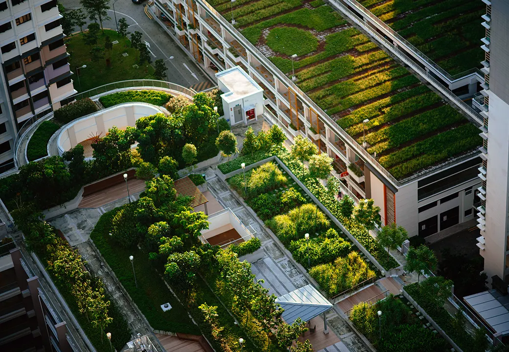 Ensemble d'immeubles végétalisés