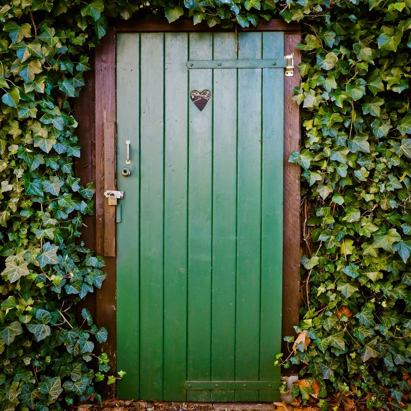 Mur végétal avec une porte.