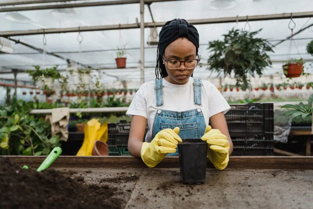 Un potager de fruits et légumes sous terres en serre 