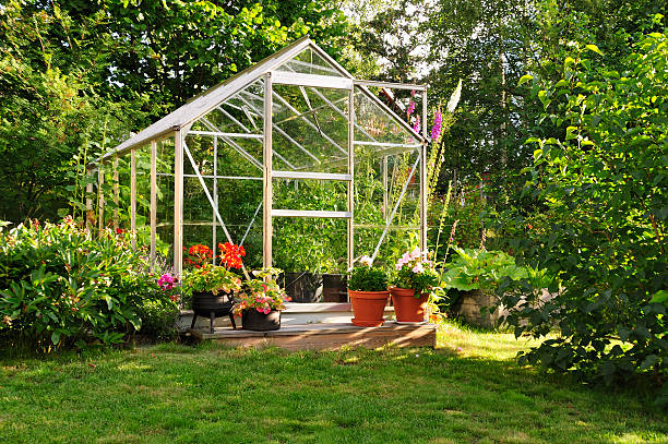 serre de jardin en plein soleil