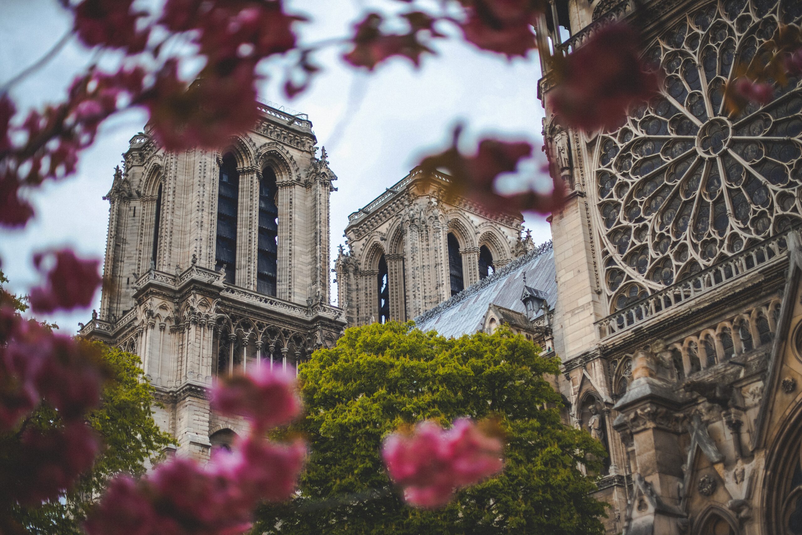 notre dame de paris