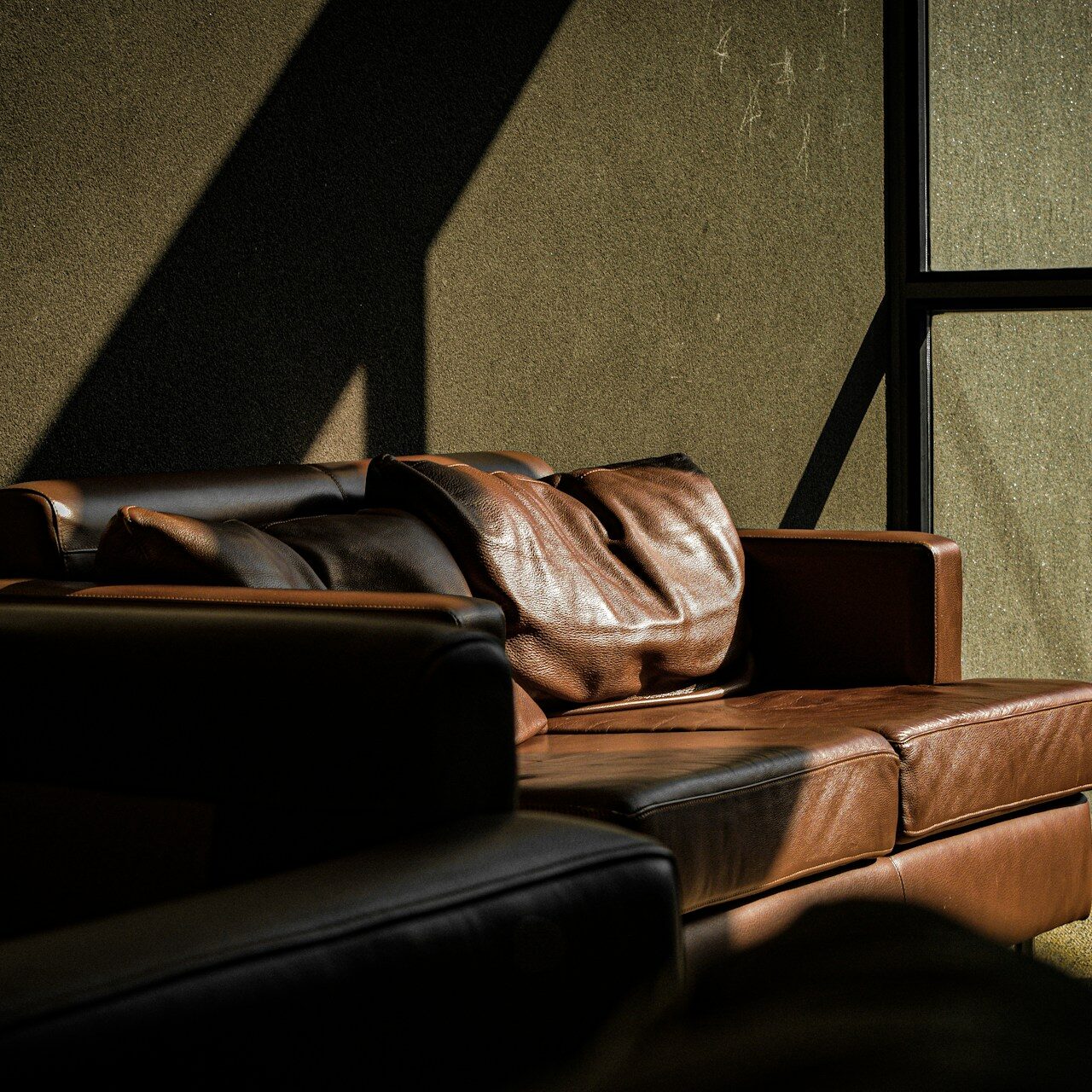 Canapé cuir lumière fenêtre